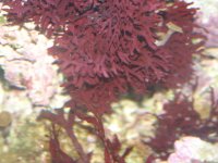 125_2592.jpg
