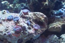 100_1156.JPG