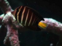 DSCF1173.JPG