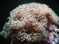 DSCF1218.JPG