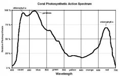 photosyntheticactivityspectrum.jpg