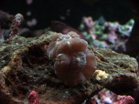 DSCF1220.JPG