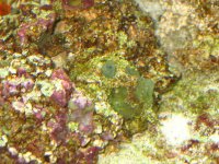 IMG_0514 2222.jpg