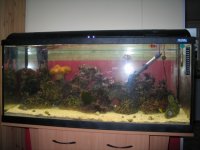 tank2.jpg