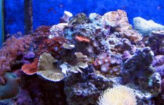 IMG_0415.JPG