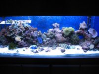 IMG_0454.JPG