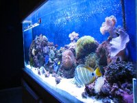 IMG_0464.JPG