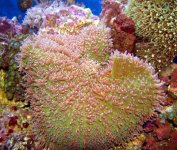 IMG_0438.JPG