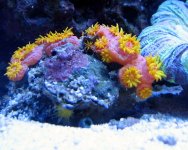 IMG_0256.jpg