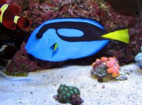 IMG_0441.JPG