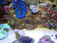 IMG_0428.JPG