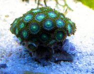 green galaxy.jpg