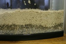 tn_IMG_1638.JPG