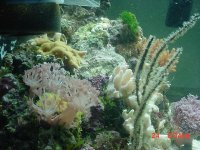 DSC00431-1.JPG