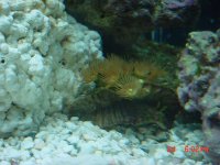 DSC00427-1.JPG
