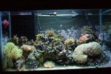 tank_1_14-07.jpg