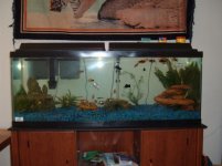 101 The new project 015 550x412.JPG