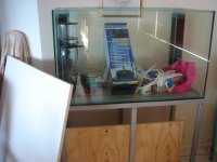 DSC00935.JPG