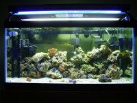 Aquarium1.jpg