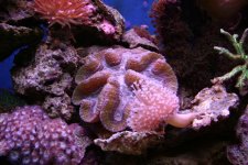 IMG_1827.JPG