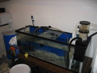 Picture 039.1.jpg