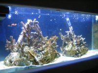 IMG_7474.JPG