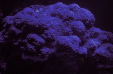 DSC_1087.jpg