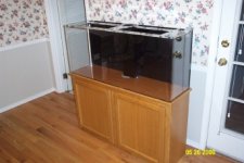 Aquarium pics 004rs.jpg