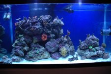 New tank shot 1.jpg