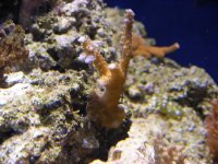 Dscn1466.jpg
