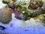 100_0321.JPG