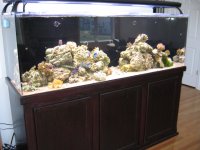 IMG_0029.JPG
