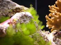 STA_0033.jpg