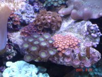 DSC025141024x768.jpg