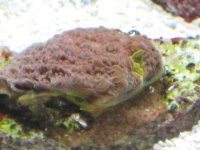 IMG_0865_1.JPG