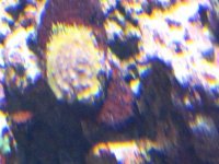 IMG_1692_2.JPG
