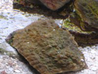 IMG_0524_2.JPG