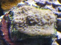 IMG_1691_2.JPG
