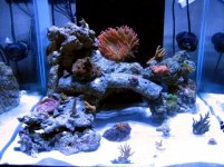 tank1 01233.jpg