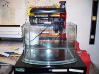 3 galllon pico tank 001.jpg