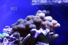 IMG_2665W.jpg