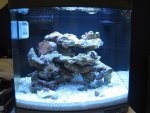 1AQUARIUM.jpg
