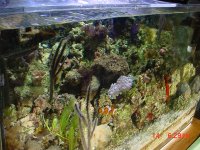 DSC00220-1.JPG