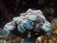 DSCF1382.JPG