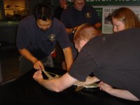 DSC00857.jpg