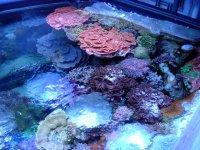 DSC00877.jpg
