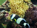 100_7158.jpg