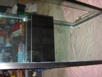 tank4.jpg