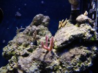 Dscn1577.jpg