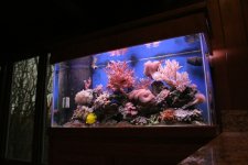 tank #1web 3-8-2009.JPG